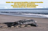 Guía de conservación y observación de tortugas …d2ouvy59p0dg6k.cloudfront.net/downloads/guia... · un área del Sistema de Parques Nacionales Na-turales, siga las recomendaciones