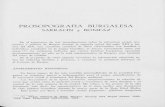 PROSOPOGRAFIA BURGALESA - Repositorio Institucional de la ...riubu.ubu.es/bitstream/10259.4/1543/1/0211-8998_n184_p467-499.pdf · la vida pública burgalesa durante la mayor parte