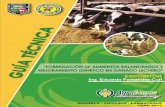 FORMULACION DE ALIMENTOS BALANCEADOS Y … · - Alimento Balanceado - Agua Suplemento Min/vit. 6 Holstein Criollo b) Categoría o Edad En cada categoría de ...