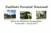 Instituto Forestal Nacional - unepfi.org · Instituto Forestal Nacional, el análisis del proyecto será respondido dentro del plazo de sesenta días. Art. 24 Ley Nº 422/73 ... la