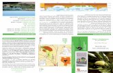 los almendros - Ayuntamiento de Castronuño | Web …ño.es/wp-content/uploads/2015/0… · explica e interpreta los valores naturales más relevantes de la Reserva. ... Junto al