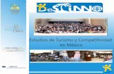 Estudios de Turismo y Competitividad en México · ESTUDIO DE LA PERCEPCIÓN DEL DESARROLLO SUSTENTABLE EN EL SECTOR ... El caso bajo estudio de la presente investigación fue el
