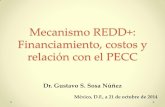 Mecanismo REDD+: Financiamiento, costos y relación … · o Reducción de emisiones por deforestación y degradación de bosques ... o Conservación, restauración y aprovechamiento