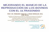 MEJORANDO EL MANEJO DE LA REPRODUCCIÓN DE LOS BOVINOS …€¦ · reproducciÓn de los bovinos con el ultrasonido prof. dr. fernando hidalgo y teran ... diagnostico de gestacion