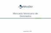 Mercado Mexicano de Derivados - Interactive Brokers · derivados mexicanos en el mundo entero y ofrece productos de CME a los operadores y clientes en México. ... MEXTRAC MM