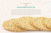 nnnnnnn El AMARANTO - otech.uaeh.edu.mxotech.uaeh.edu.mx/planta.pdf · y en el sur de la India, ... siembra en almácigos de lodo y chapines, para su pos- ... En cuanto a su cosecha