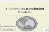 Síndrome de transfusión feto-fetal - serviciopediatria.com³n-R3... · Síndrome de transfusión feto-fetal. Indice ... •Los fetos que sobreviven tiene riesgo de alteraciones