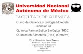 Universidad Nacional Autónoma de México · Sitios a básicos Ruptura de cadena sencilla Lesiones 8-oxoguanina Inserciones Deleciones Desajuste de bases Si la célula no puede reparar