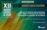 Buenas Prácticas Operacionales para reducir … · Buenas Prácticas Operacionales. para reducir emisiones de material particulado en plantas de beneficio. Juan Carlos Espinosa –