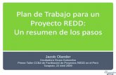 Plan de Trabajo para un Proyecto REDD: Un resumen … · PIN o Nota Conceptual ... Beneficios sociales y ambientales Necesidades/pasos siguientes para su desarrollo. Pasos Principales