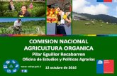 COMISION NACIONAL AGRICULTURA ORGANICA - …cnao.odepa.cl/wp-content/uploads/2014/09/Presentación-CNAO-Odepa... · AGRICULTURA ORGANICA ... Grupo 4: Desarrollo de ... con un mercado