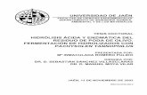 HIDRÓLISIS ÁCIDA Y ENZIMÁTICA DEL RESIDUO DE PODA DE …ruja.ujaen.es/bitstream/10953/431/1/8484392880.pdf · En la hidrólisis ácida se ha determinado la influencia de la naturaleza