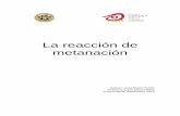 La reacción de metanación - zaguan.unizar.es · 3.3 EVALUACIÓN DEL PROCESO DE WATER GAS SHIFT Y METANACIÓN DE CO PARA LA PURIFICACIÓN DE ... Proyectos internacionales de SNG
