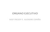 ORGANO EJECUTIVO - Freddy E. Aliendre España · Competencias exclusivas