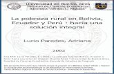 La pobreza rural en Bolivia, Ecuador y Perú : hacia …bibliotecadigital.econ.uba.ar/download/tpos/1502-0172_LucioPared... · La pobreza rural en Bolivia, Ecuador y ... 13 d) Algunas