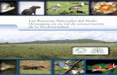 Las Reservas Naturales del Nodo Orinoquia en su …horizonteverde.org.co/.../RESERVAS-NATURALES-ORINOQUIA.pdf6 7 El Nodo Orinoquia, coordinado por la Fundación Horizonte Verde (FHV),