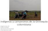 Indígenas y campesinos en la Orinoquía colombiana Conpes 3797 (01-14) Política para el desarrollo integral de la Orinoquía: Altillanura-Fase I •equipar la región de infraestructura