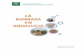 Noviembre de 20 16 - Agencia Andaluza de la Energía | · que constituyen la flora terrestre, ... P RINCIPALES BIOMASAS DE LA COMUNIDAD AUTÓNOMA ANDALUZA ... Fotos de balsas de orujo