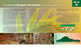  · del Capitán Descripción / Flora y Fauna / Clima 30 ... y cámara de fotos. ... FEDERACION ANDALUZA DE MONTAÑISMO Ayuntamiento de Algeciras