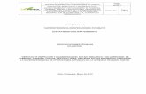 ECOPETROL S.A. SUPERINTENDENCIA DE …contratos.ecopetrol.com.co/Anexos de Procesos/50027853/Anexo 3... · cámara vació y prueba ... oleoductos y suministro e instalación de ...