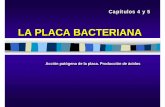 LA PLACA BACTERIANA Acción patógena de la placa ... 4.- la placa... · CARIES DENTARIACARIES DENTARIA Superior a la del catarro común Es mayor en países desarrollados y zonas