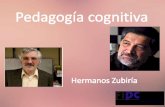 (Bogotá,1951) psicólogo colombiano. Fundador y directorfiles.teoriaspsicopedagogicas.webnode.es/200000010-9dc2e9ebae... · Miguel De Zubiría Samper . ... los que se encuentran
