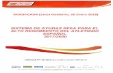 Sistema de ayudas - rfea.es · Real Federación Española de Atletismo. Av. Valladolid, 81, 1º -28008 Madrid –Tel. 91 548 24 23 Fax: 91547 61 13 / 91548 06 38 correo electrónico: