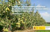 AYUDAS A LOS PROGRAMAS OPERATIVOS DE …€¦ · 3 audas a los programas operativos de las organiaciones de productores de frutas hortalias - anualidad 2012 3. ayudas por medida y