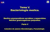 Tema V. Bacteriología medica.uvsfajardo.sld.cu/sites/uvsfajardo.sld.cu/files/v_bacilos_gram... · Clamidias. Características generales Bacterias intracelulares obligadas. Inicialmente