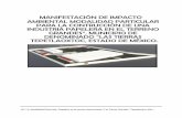 MANIFESTACIÓN DE IMPACTO AMBIENTAL …consultaspublicas.semarnat.gob.mx/expediente/mex/estudios/2018/15... · La industria papelera en México, de acuerdo con información del Sistema
