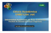 Universidad Autónoma de Baja Californiailluminatus.bizhat.com/uabc-live.net/sesion6.pdfComo crear una aplicacion Web en Visual ... Aplicaciones Web – ASP.NET Una aplicación web