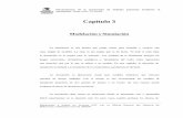 Capítulo 3 - Biblioteca Central Pedro Zulensisbib.unmsm.edu.pe/bibvirtualdata/tesis/ingenie/Rojas_L_P/cap3.pdf · Planeamiento de la producción de bebidas gaseosas mediante la simulación.