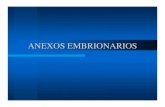 ANEXOS EMBRIONARIOS - lahr2113 | Just another … · 2011-11-11 · ANEXOS EMBRIONARIOS. ... VARIACIONES DE LA FORMA DE LA PLACENTA PLACENTA ACCESORIA PLACENTA BIDISCOIDE ... transferencia
