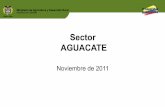 Sector AGUACATE - SIOC · • Destino de la producción: Aguacate Hass mercado local y exportado a Holanda. El total de la producción ... • Promoción nacional al consumo de aguacate