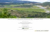 Informe de Cumplimiento Ambiental 4to. Trimestre 2013goldcorpguatemala.com/wp-content/uploads/2017/12/Informe-de... · Laboratorio ... El informe contiene el proceso de las actividades