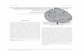 BACTERIAS SOLUBILIZADORAS DE FOSFATO CON …agronomia.ucaldas.edu.co/downloads/Agronomia22(2)_2.pdf · cultivos de papa (Solanum tuberosum), utilizando el medio de cultivo selectivo