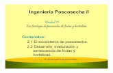 Ingeniería Poscosecha II - INGENIERIA … · Introducción Todas las frutas, hortalizas y raíces son partes de plantas vivas que contienen de un 65 a un 95 por ciento de agua y