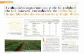Evaluación agronómica y de la calidad de las nuevas ... · Evaluación agronómica y de la calidad ... 50/Vida Rural/15 de diciembre 2006. ... GxE (Componente de la varianza) 256,465