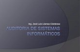 Ing. José Luis Llamas Cárdenas - Llamas Blog | Sitio de ... · de la sistematización y de haber diseñado el sistema que albergará y administrará la información, es necesario