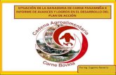 Diapositiva 1 - legacy.iica.intlegacy.iica.int/Esp/regiones/central/panama/Documents/2. Carne... · GANADO % CABEZAS DE CEBA % Bocas del Toro 1,612 3.7 45,794 2.6 10,705 2.9 ... MES