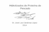 16-Hidrolizados de Proteina de Pescado2014 - … · solubilización con pepsina con pescado de bajo costo • Simpson (1998) preparó HPP de camarón ... • Se usa como suplemento