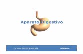 4 Aparato Digestivo [Modo de compatibilidad]nutricionydietetica.gan-bcn.com/admin/publics/upload/contenido/pdf... · transforma los alimentos paso de nutrientes en la expulsión de