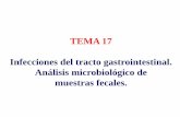 TEMA 17 Infecciones del tracto gastrointestinal. Análisis ...asignatura.us.es/mbclinica/docs/recursos/12/tema-17.pdf · Clostridium difficile (otros clostridios y Staphylococcus