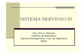 SISTEMA NERVIOSO III - dea.unsj.edu.ardea.unsj.edu.ar/biologia2/Cerebelo y diencefalo.pdf · CEREBELO Ocupa porción posteroinferior de la cavidad craneal Detrás de bulbo y puente
