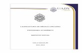 LICENCIATURA DE MÉDICO CIRUJANO … · En el año 2020 la Universidad Autónoma de Yucatán es reconocida como la ... PERFIL DEL EGRESADO DE LA LICENCIATURA DE ... y humanista la