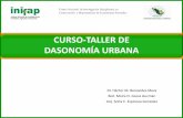 CURSO DE DASONOMÍA URBANA - Areas Verdes y Arbolado Urbanoareasverdesyarboladourbano.com.mx/wp-content/curso/... · INVENTARIOS DE ARBOLADO URBANO . Tipos de inventarios ... Establece