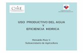 USO PRODUCTIVO DEL AGUA Y EFICIENCIA HIDRICAunesco.org.uy/iya2009/fileadmin/templates/conaphi.cl/documentos/... · ciento de la tierra cultivada en el mundo y contribuye con el 40%