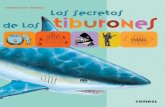 Catherine Vadon los secretos de los tiburonesdata.ecasals.net/pdf/24/9788498259049_L33_24.pdf · 6 7 Los secretos de los tiburones el tiburón en la novela de Julio Verne “Era un