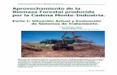 Aprovechamiento de la Biomasa Forestal producida por la ... · 10 Revista CIS-Madera APROVECHAMIENTO DE LA BIOMASA FORESTAL ESCENARIOS DE DESARROLLO ENERGÉTICO. El "Informe Mundial