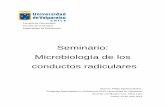 Seminario: Microbiología de los conductos radiculares · Por lo dicho anteriormente, el objetivo de este seminario es conocer y analizar la microbiología de los conductos radiculares.